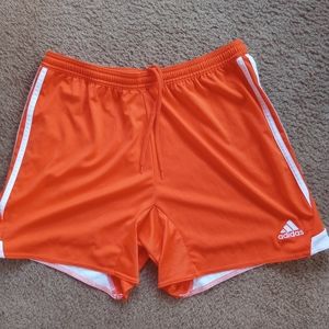Adidas shorts large